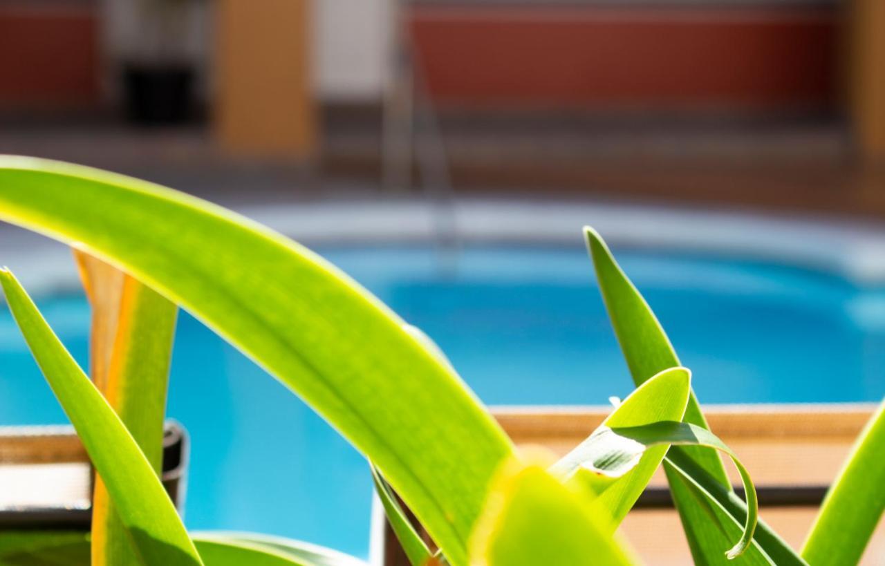 טיחואנה Del Mar Inn Playas מראה חיצוני תמונה
